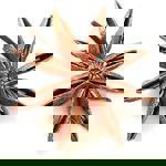 9c618c6d-dbac-4fd4-8c73-17f235750021